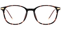 Greene Square Tortoise Glasses0