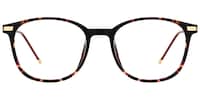Greene Square Tortoise Glasses0
