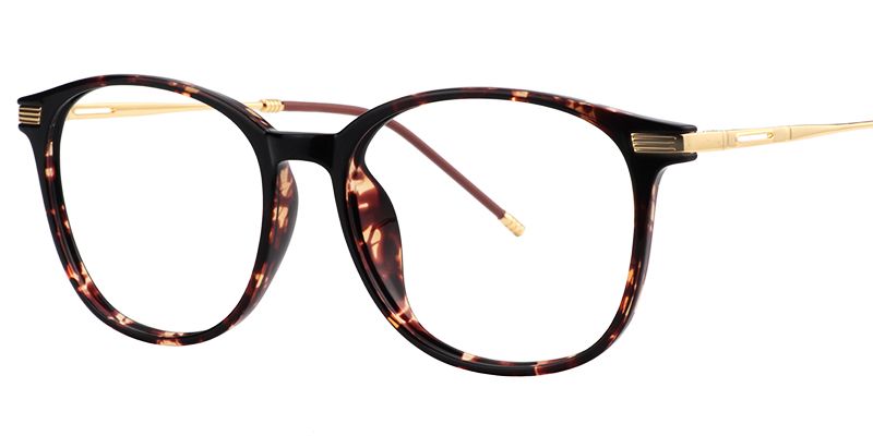 Greene Square Tortoise Glasses | Zeelool Glasses2