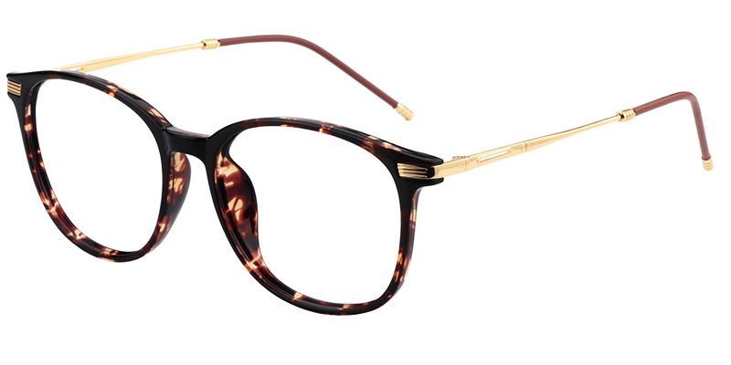 Greene Square Tortoise Glasses | Zeelool Glasses3