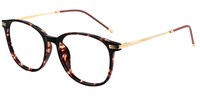 Greene Square Tortoise Glasses3