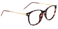 Greene Square Tortoise Glasses4