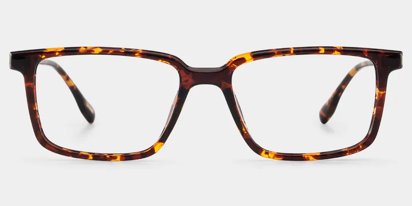Cyrus Rectangle Tortoise mixed Glasses